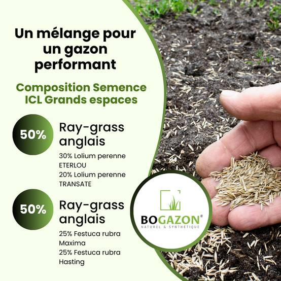 Gazon a semer ICL Grand Espaces 10 kg | Graines de Gazon Espaces Publics & Privés| Semence Universel Densité Maximale pour Couverture Uniforme - Image 5