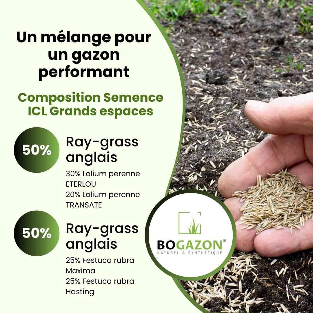 Gazon a semer ICL Grand Espaces 10 kg | Graines de Gazon Espaces Publics & Privés| Semence Universel Densité Maximale pour Couverture Uniforme - Image 5