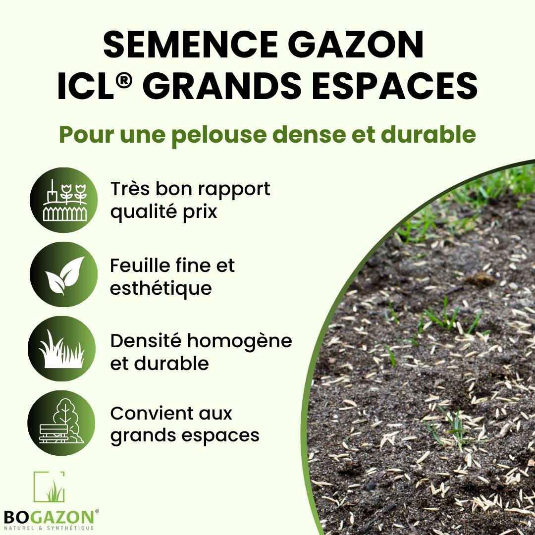 Gazon a semer ICL Grand Espaces 10 kg | Graines de Gazon Espaces Publics & Privés| Semence Universel Densité Maximale pour Couverture Uniforme - Image 2