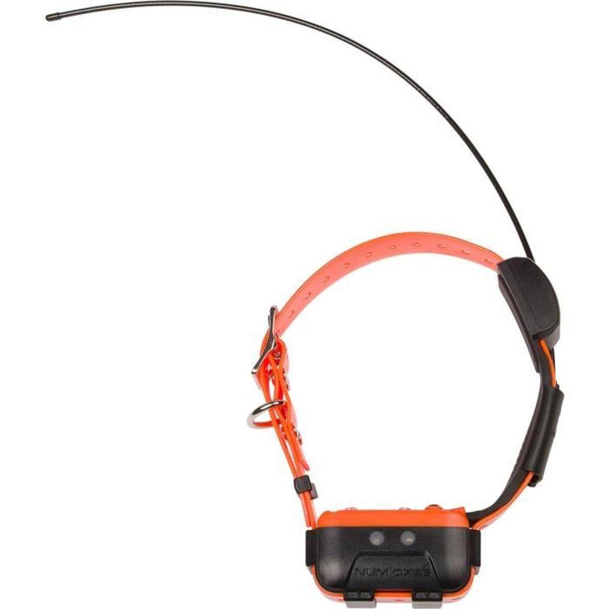Système de suivi GPS pour chien Canicom GPS 2, traque temps réel + éducation, télécommande, étanchéité IP67 - NUM'AXES - Image 3