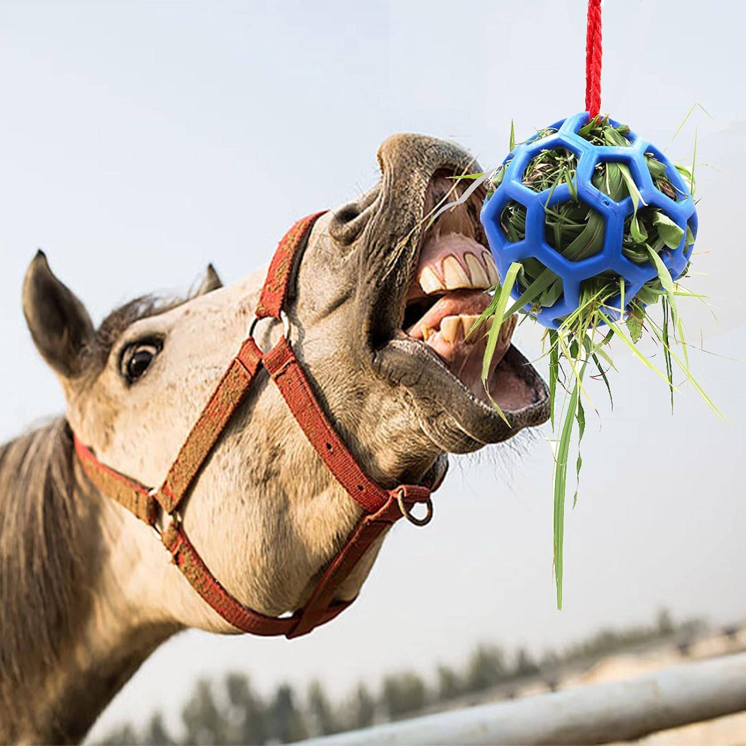 Ballons de Foin Anti-Stress Chevaux/Chèvres DtopbuyAge - Image 3