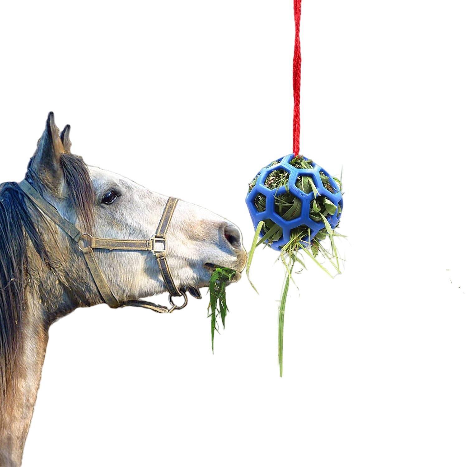 Ballons de Foin Anti-Stress Chevaux/Chèvres DtopbuyAge