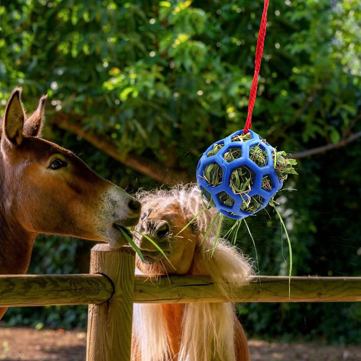 Ballons de Foin Anti-Stress Chevaux/Chèvres DtopbuyAge - Image 2
