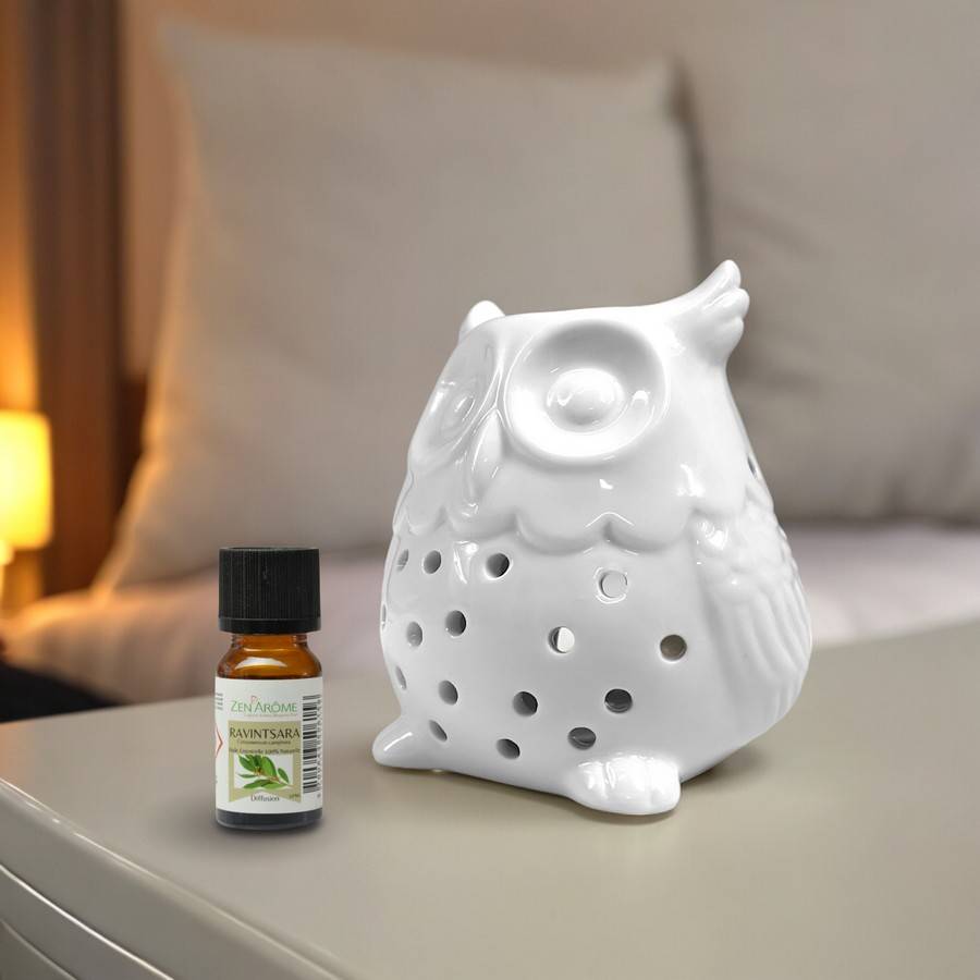 Diffuseur Huile Essentielle et Parfum Maison – Photophore Aromathérapie en Céramique Blanche Hibou, Haut: 12cm - Zen'Arôme - Image 3