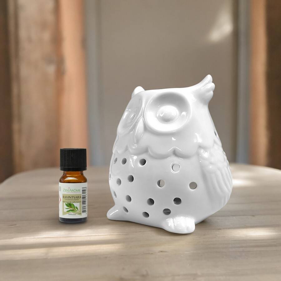 Diffuseur Huile Essentielle et Parfum Maison – Photophore Aromathérapie en Céramique Blanche Hibou, Haut: 12cm - Zen'Arôme - Image 5