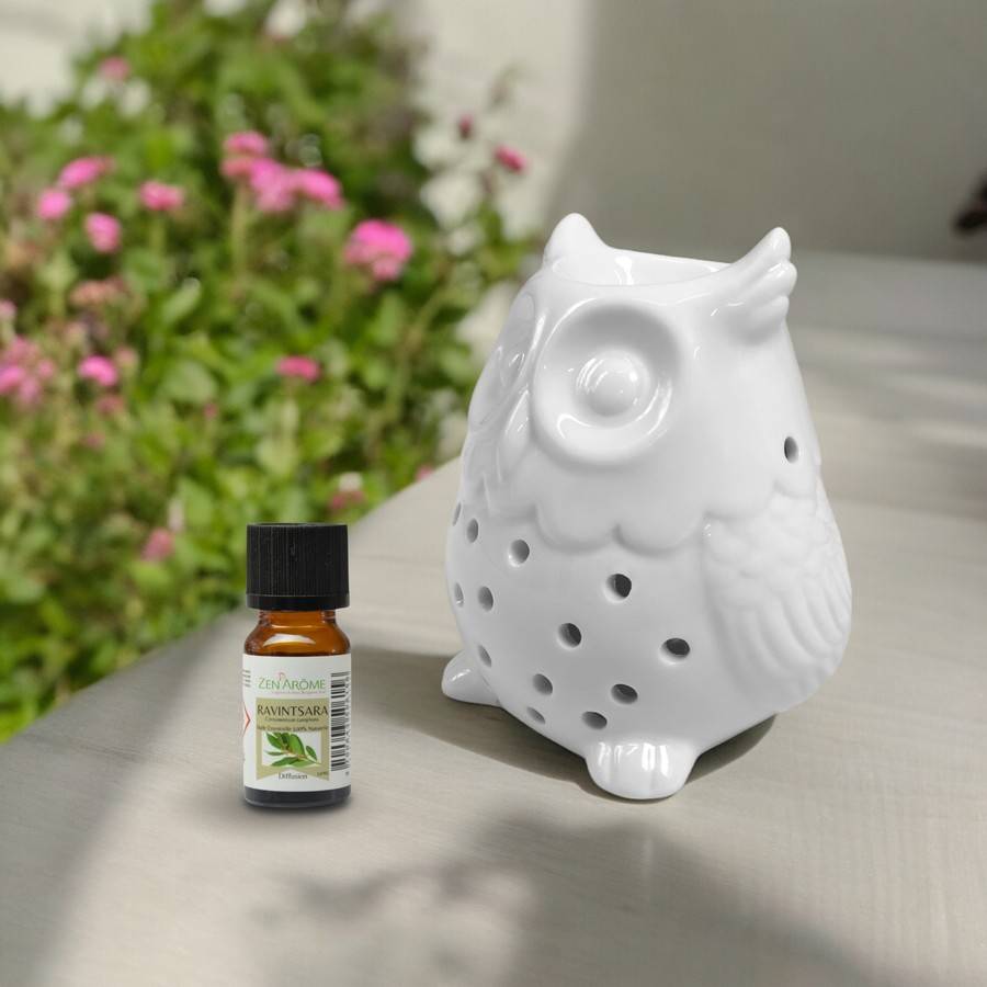 Diffuseur Huile Essentielle et Parfum Maison – Photophore Aromathérapie en Céramique Blanche Hibou, Haut: 12cm - Zen'Arôme - Image 9