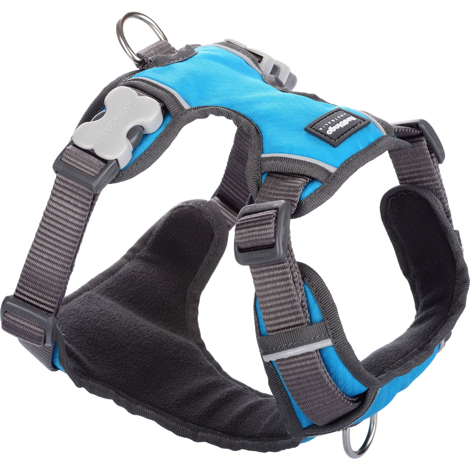 Harnais chien Red Dingo rembourré Turquoise Taille : T4 RED DINGO