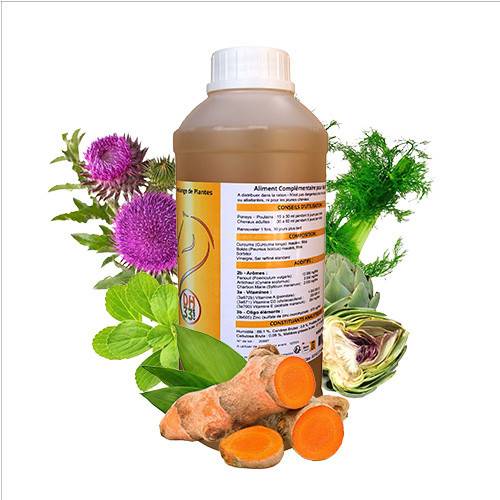 Distri'Epatik - Drainant Cheval Naturel - 1L - Image 1