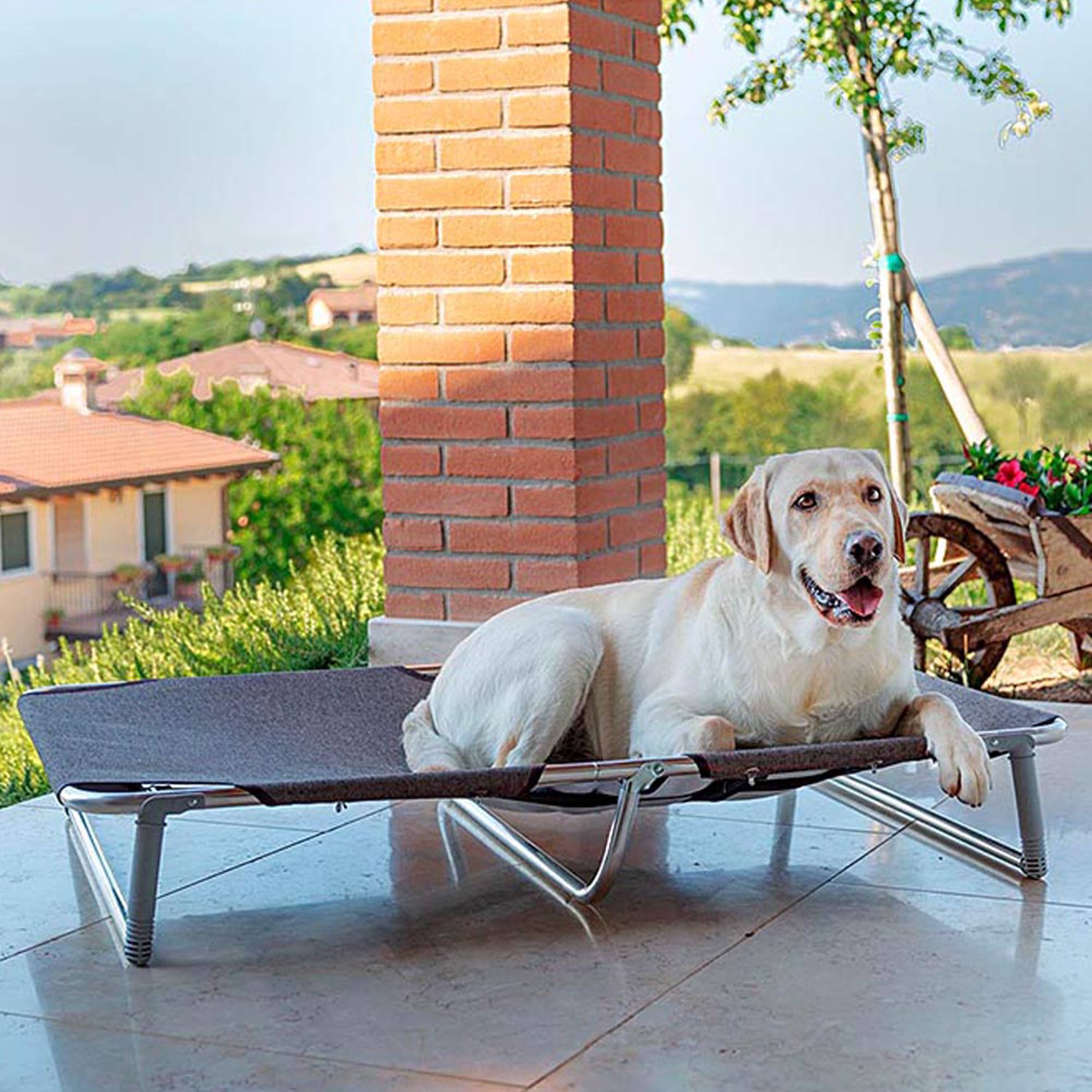 Ferplast - Ferplast Lit pliable pour chiens DREAM 115, avec structure solide en aluminium avec élastiques renforcés, toile en tissu, 119 x 79 x h 18 cm Taupe - Image 4