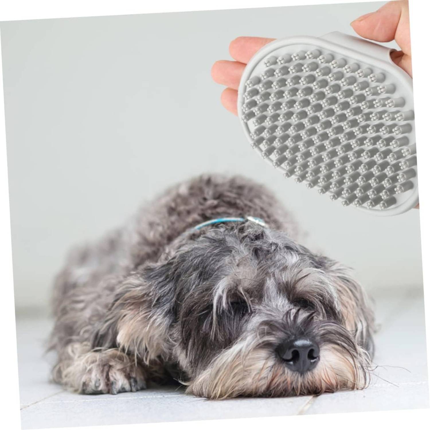 DtopbuyAge - Brosse de Toilettage Ergonomique pour Chien et Chat DtopbuyAge - Image 3