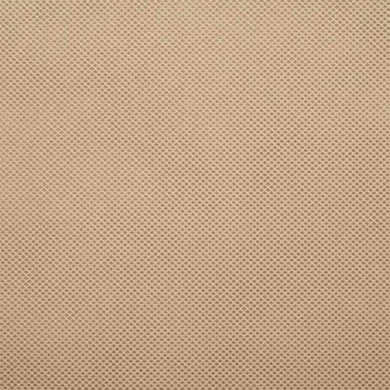 Protection Végétale Hiver Beige Tissu Non Tissé Densité Standard Barrière Thermique Beige 20x1,6m – ComfortXL Outdoor Living - Image 7