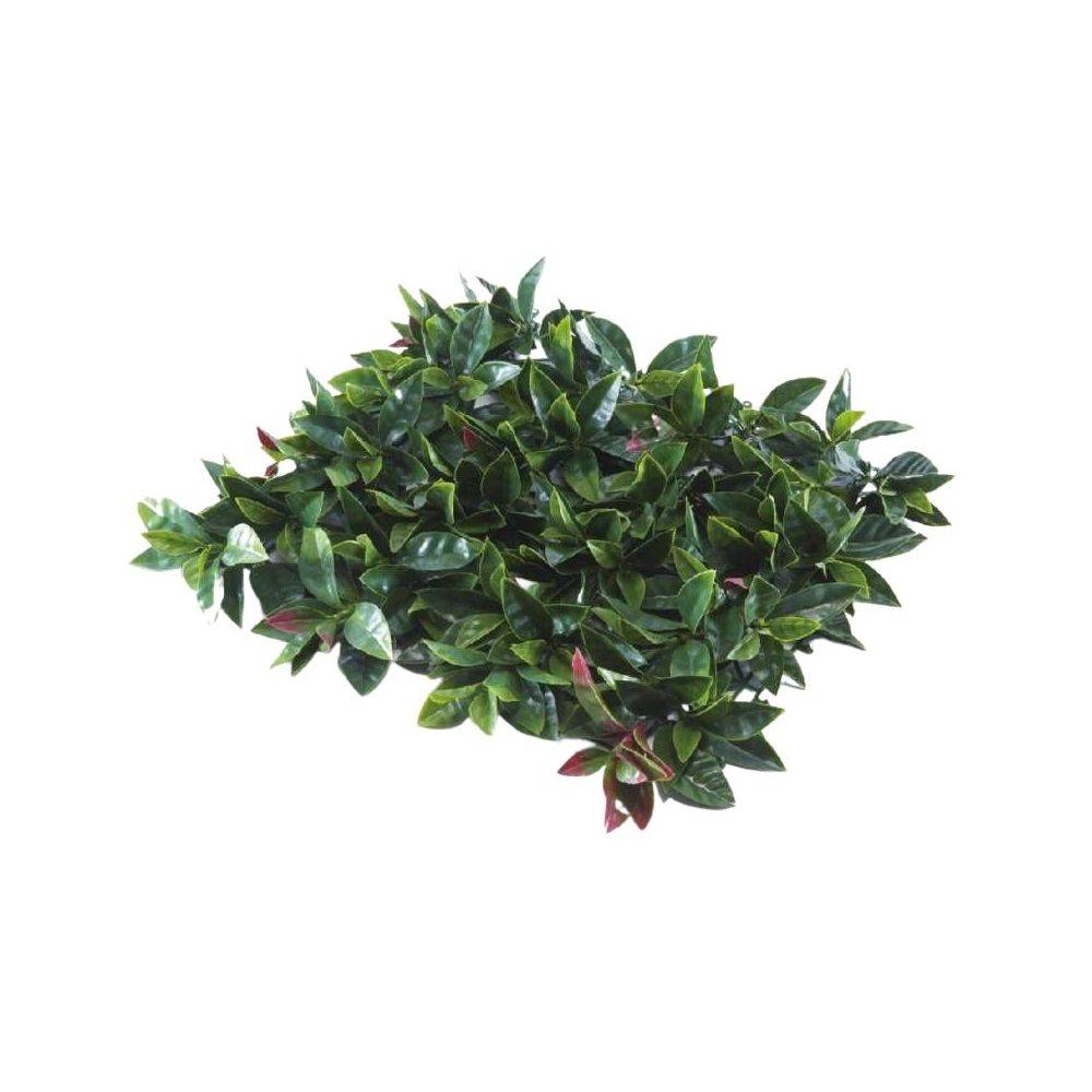 Sodipa - Feuillage artificiel 1 m x 1 m Photinia - Image 2
