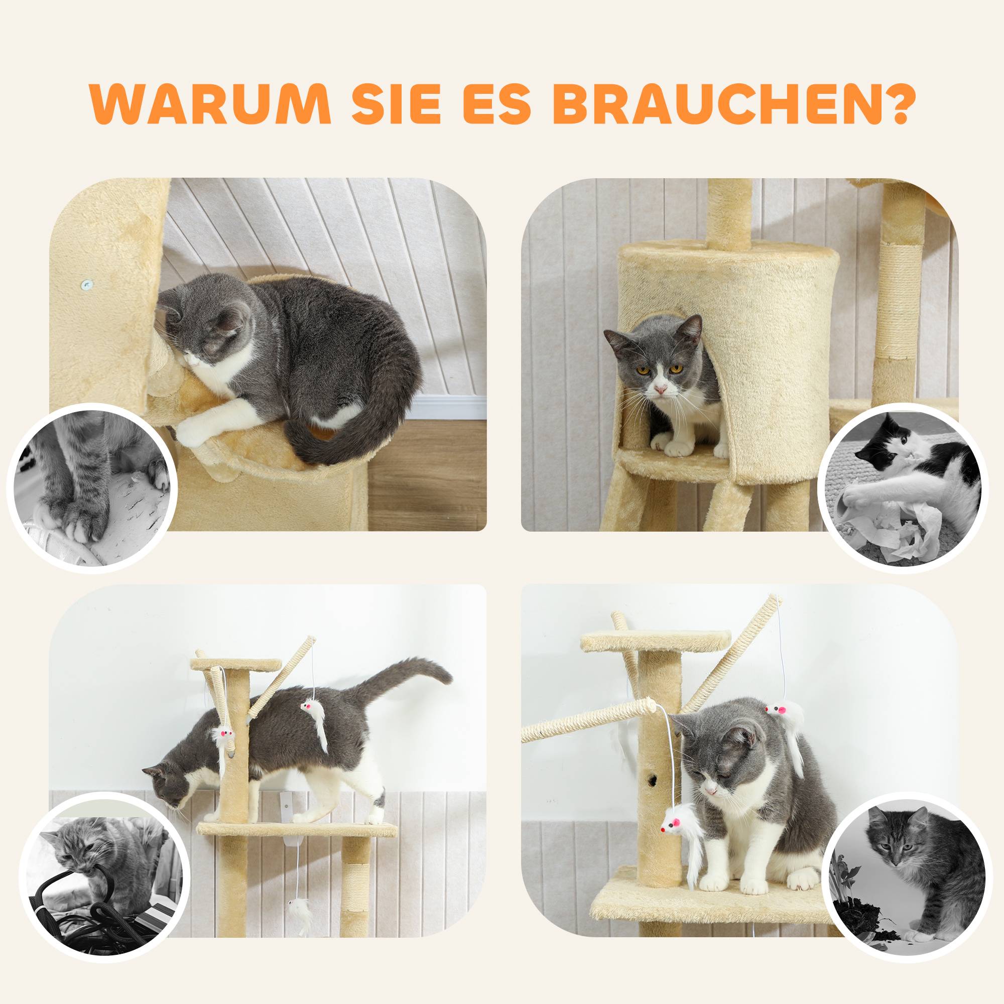 Arbre à chat sisal et peluche beige 60 x 35 x 134 cm - PANGIVO - Image 10