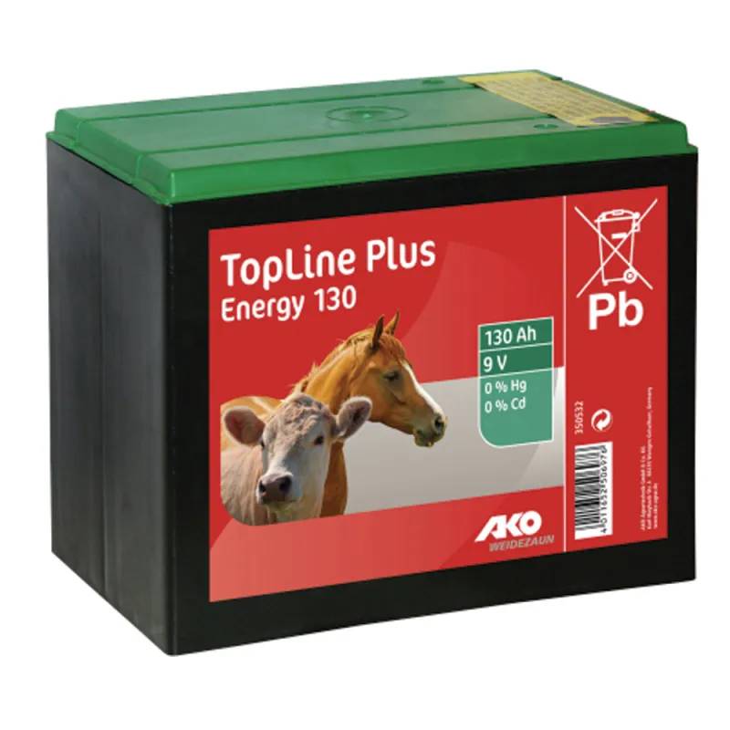 Pile batterie 9V pour électrificateur de clôture Kerbl