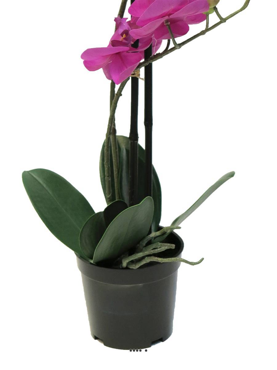 Artificielles - Orchidée Phalaenopsis factice Top Qualité & pot H50cm Rose fushia-BEST - dimhaut: H 50 cm - couleur: Rose fushia 730 - Image 4