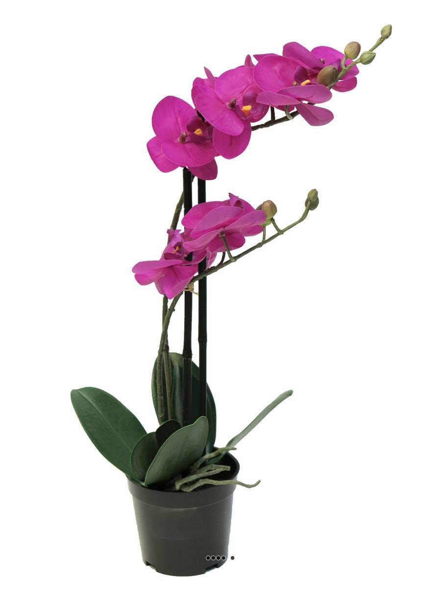 Artificielles - Orchidée Phalaenopsis factice Top Qualité & pot H50cm Rose fushia-BEST - dimhaut: H 50 cm - couleur: Rose fushia 730 - Image 2