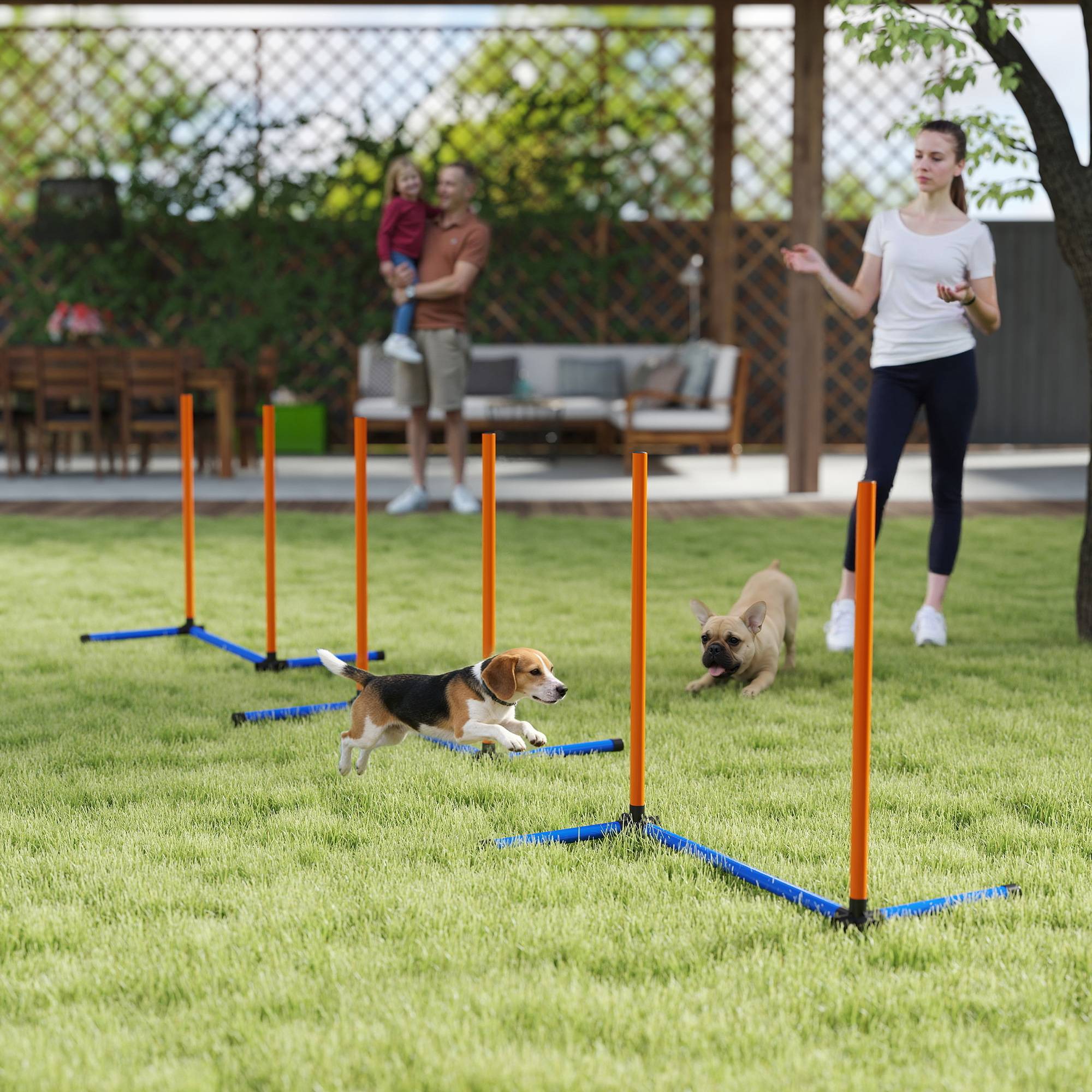 ComfortXL - Kit slalom agilité chien en PE orange 3 pièces avec sac intérieur extérieur - ComfortXL Outdoor Living - Image 4