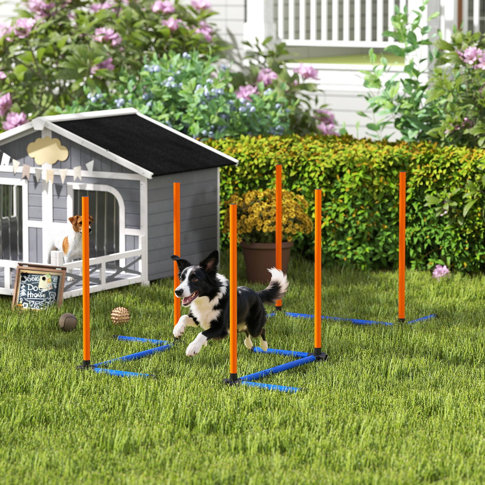 ComfortXL - Kit slalom agilité chien en PE orange 3 pièces avec sac intérieur extérieur - ComfortXL Outdoor Living - Image 10