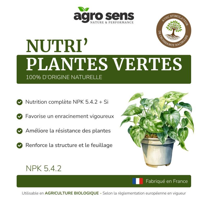 Nutri Plantes Vertes - Engrais liquide pour plantes vertes - 500 ml (250 litres de préparation) - Image 4