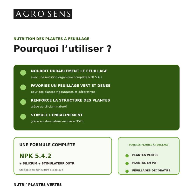 Nutri Plantes Vertes - Engrais liquide pour plantes vertes - 500 ml (250 litres de préparation) - Image 2