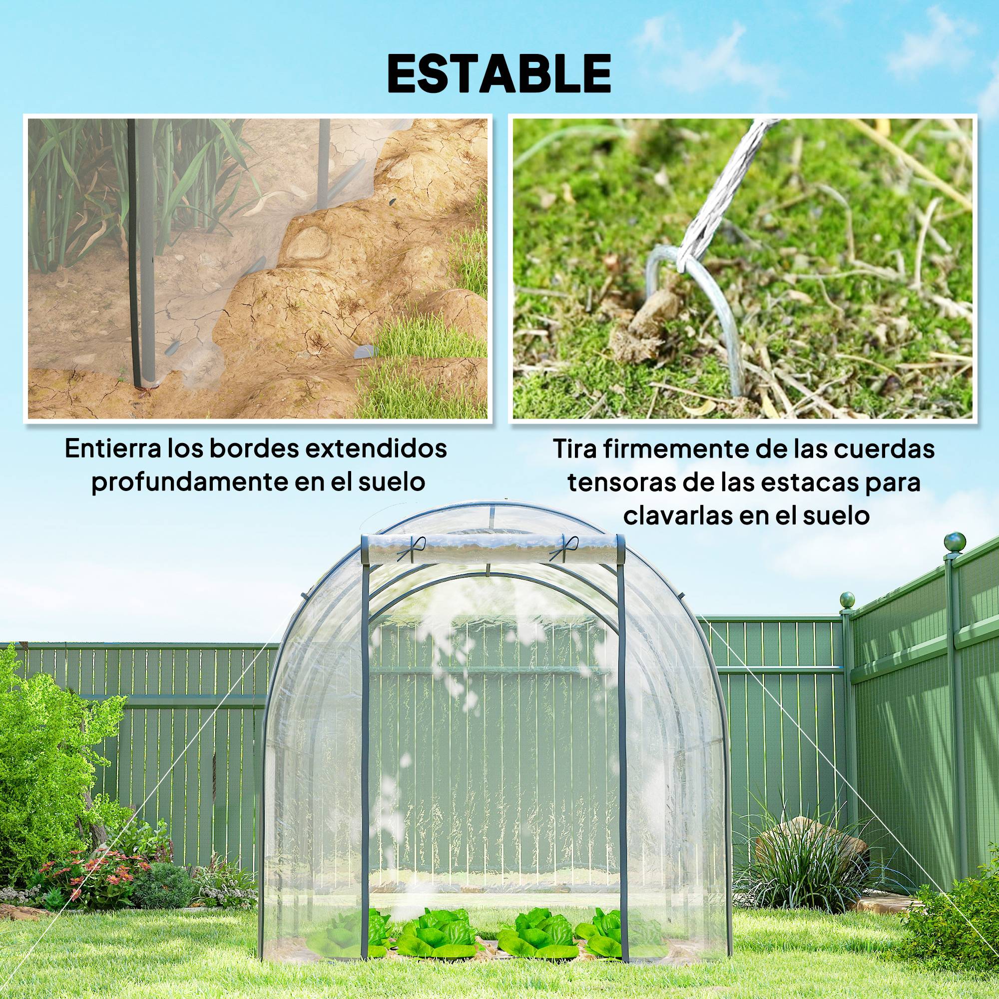 Serre tunnel de 3 x 2 x 2 m avec porte enroulable, 2 fenêtres grillagées et structure en acier transparent - Image 9