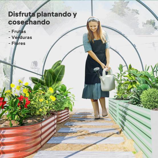 Serre tunnel de 3 x 2 x 2 m avec porte enroulable, 2 fenêtres grillagées et structure en acier transparent - Image 10