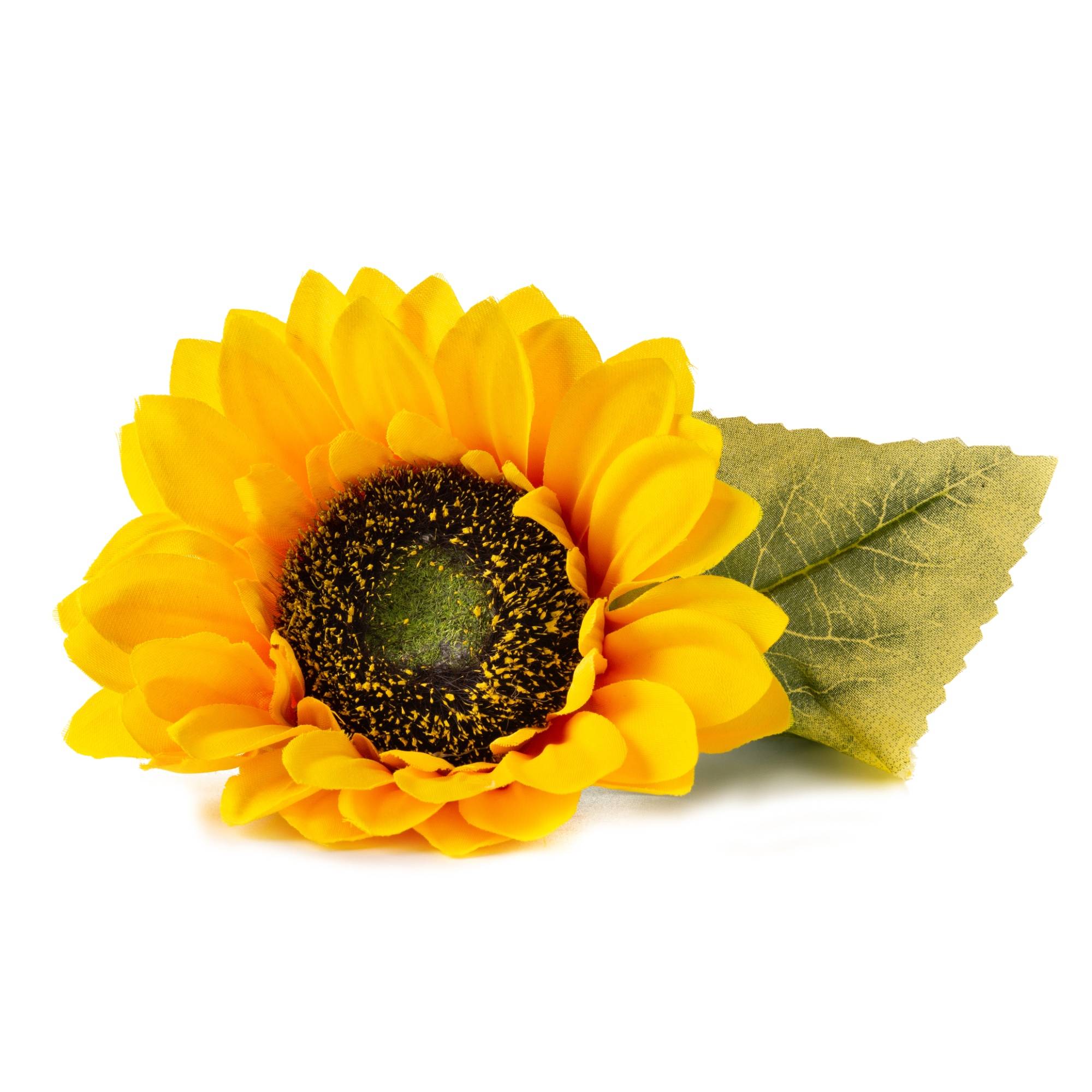 Veritable - Lingot Tournesol nain - Recharge prête à l'emploi - Véritable - Image 2