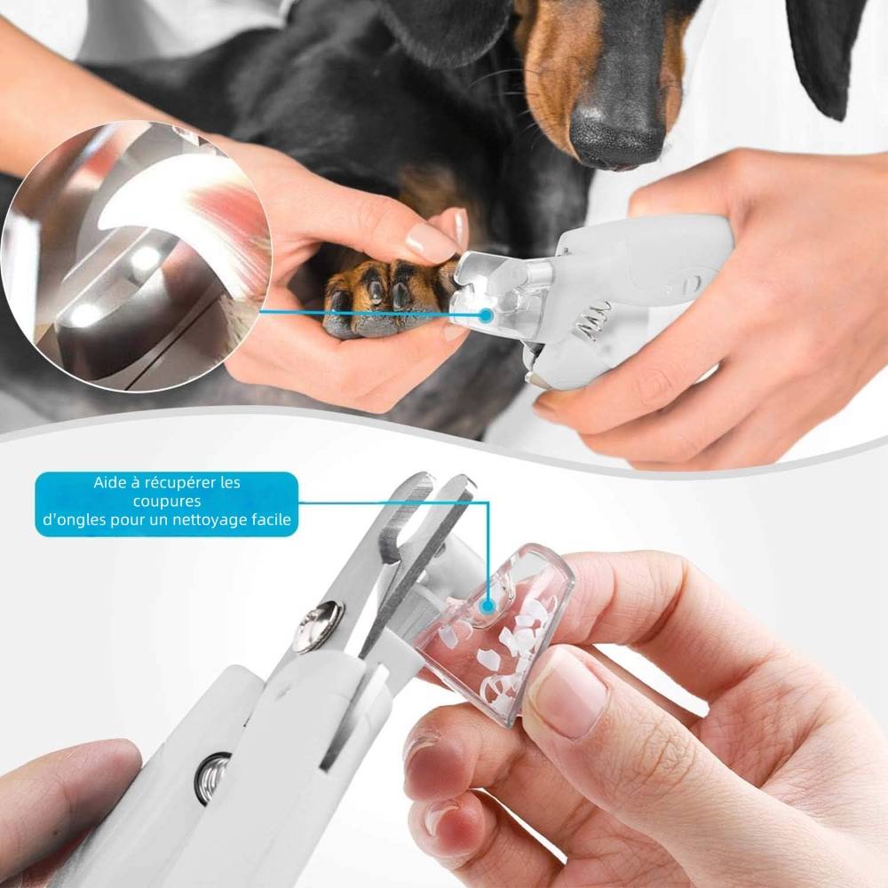 Coupe  griffes avec lampe LED pour animaux - IntiMeg - Image 4