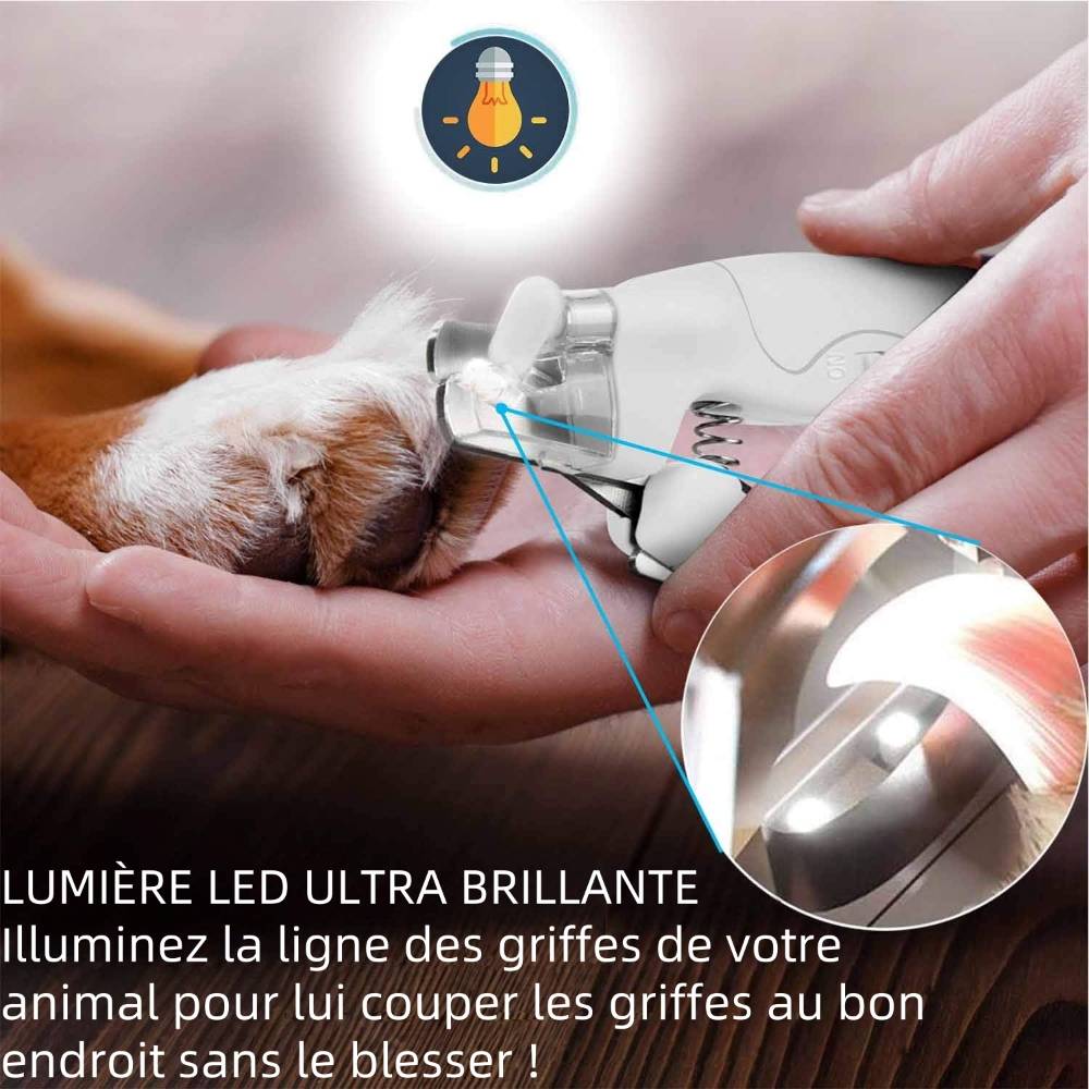 Coupe griffes avec lampe LED pour animaux - IntiMeg - Image 3