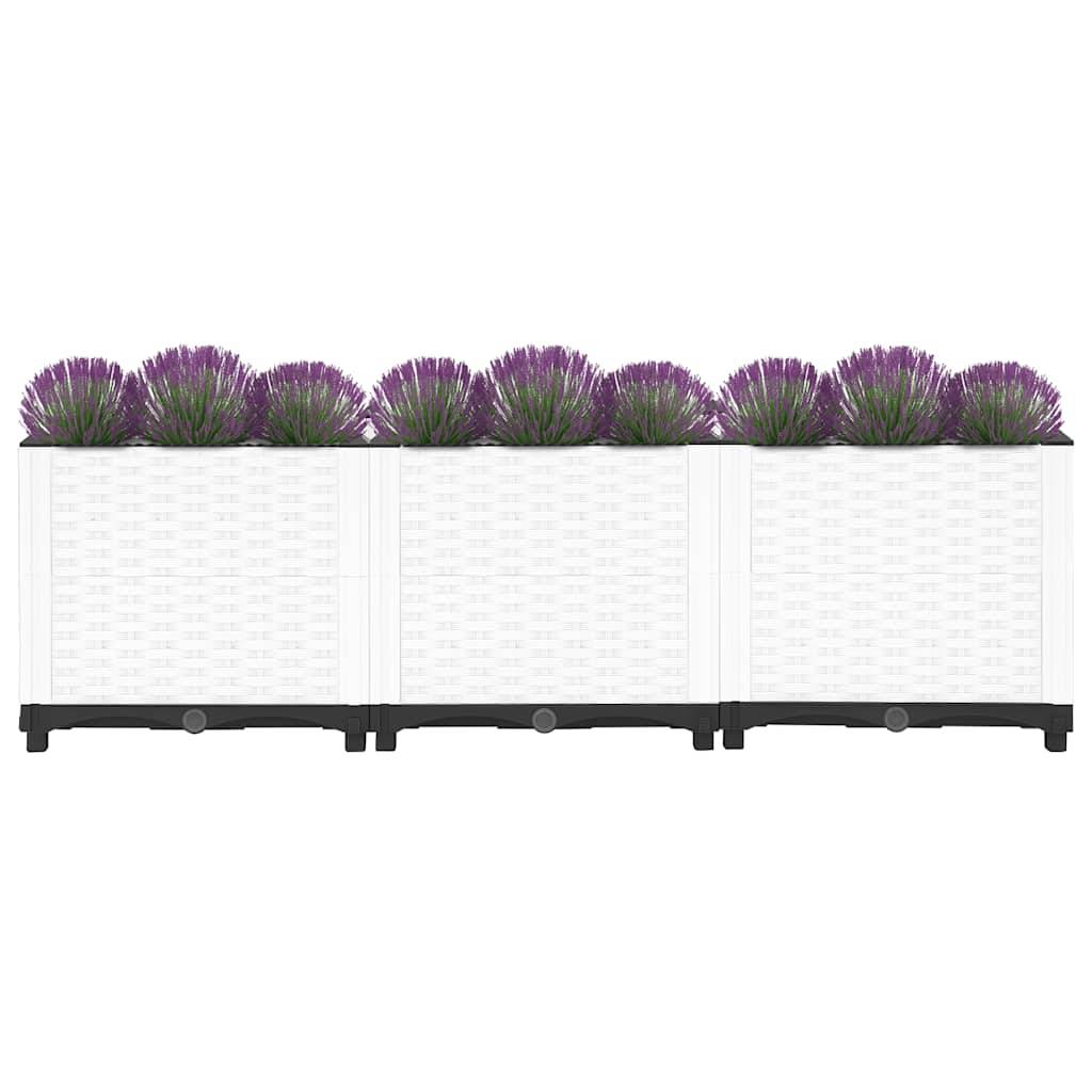 Prolenta Premium - Jardinière polypropylène gris 120 x 40 x 38 cm - Prolenta premium p339.0 - Image 8