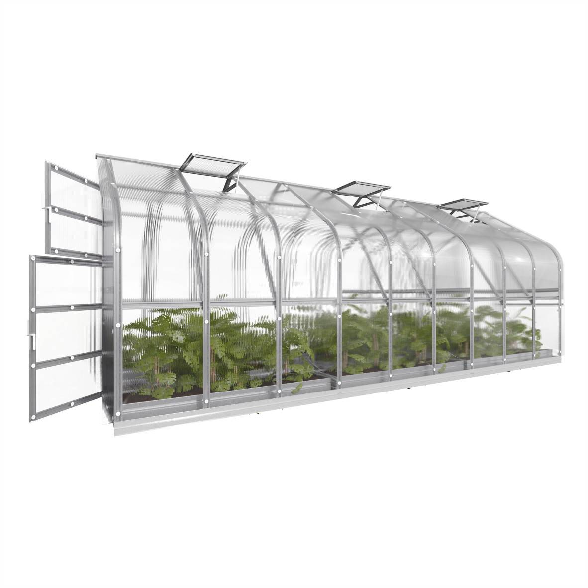 KLASIKA GREENHOUSES - Serre polycarbonate 15m² avec 3 toits ouvrants automatiques et structure en acier galvanisé – Klasika greenhouses - Image 5
