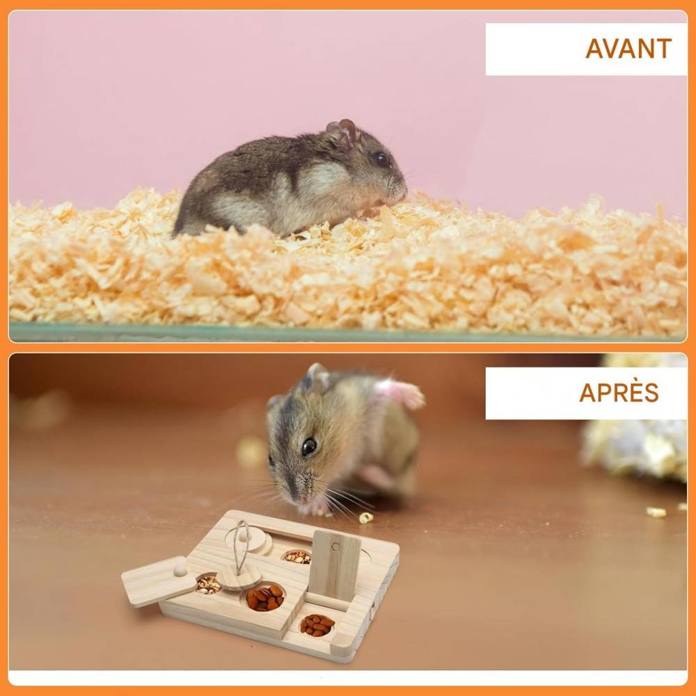 DtopbuyAge - Jouet de recherche de nourriture pour cochons d'Inde et hamsters DtopbuyAge - Image 2