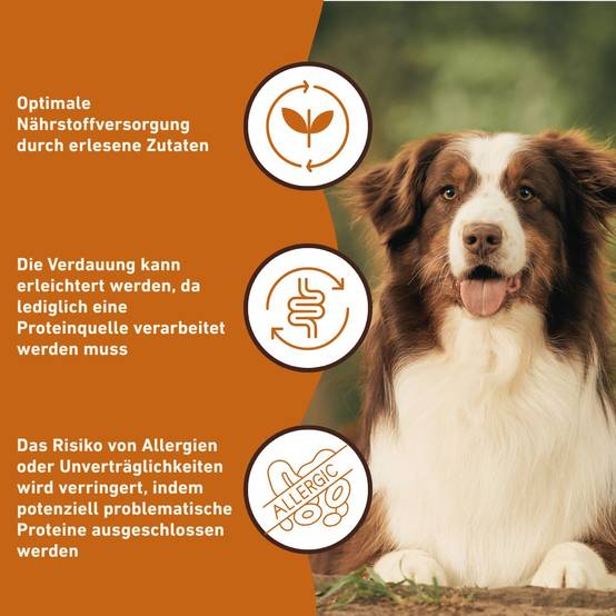 Wildfang - Wildfang pâtée humide 400 g — aliment complet pour chiens adultes, sans céréales ni additifs artificiels, adaptée aux chiens sensibles - Image 5