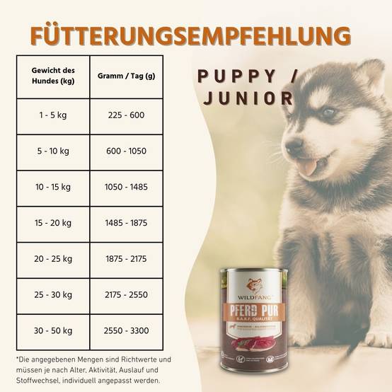 Wildfang - Wildfang pâtée humide 400 g — aliment complet pour chiens adultes, sans céréales ni additifs artificiels, adaptée aux chiens sensibles - Image 6