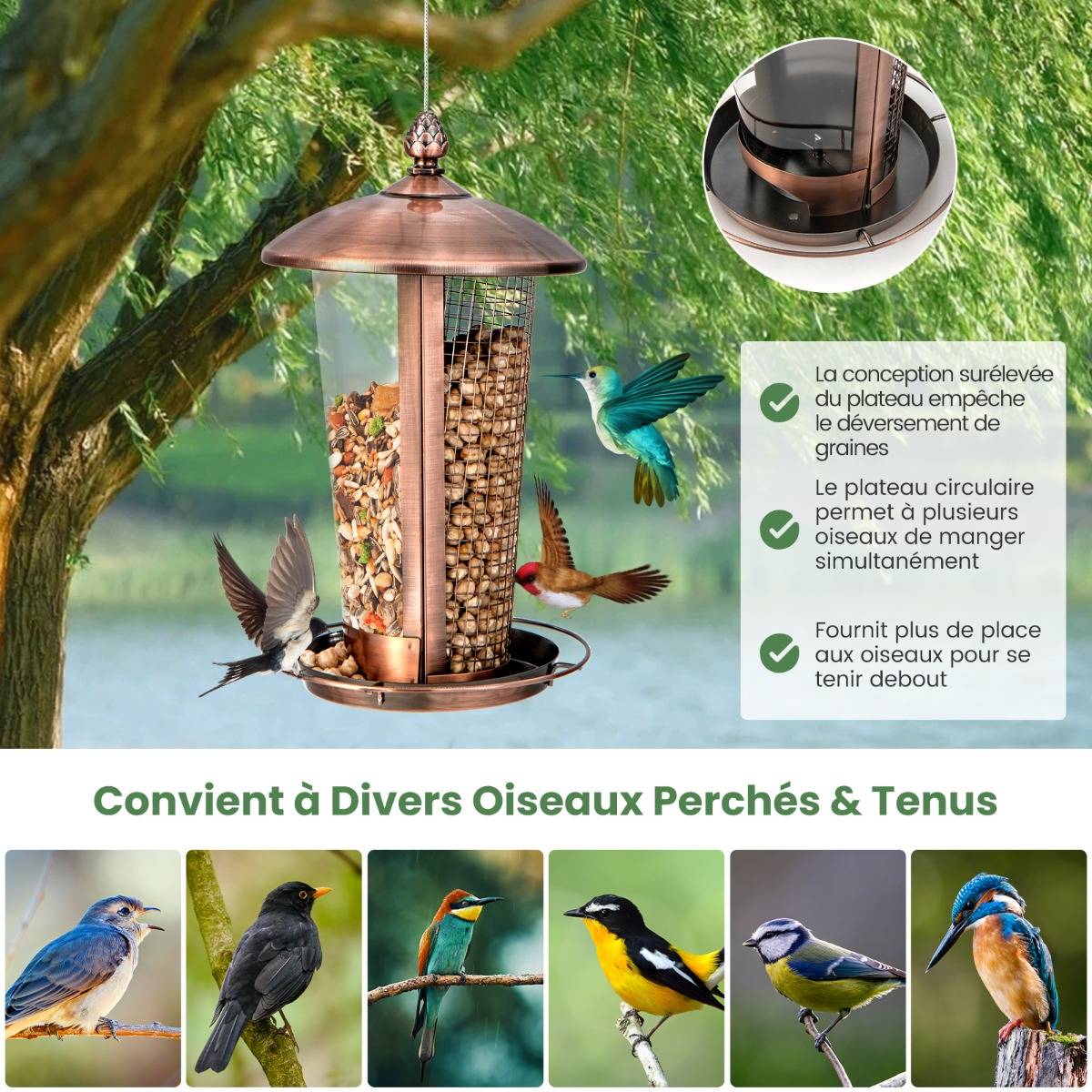 Mangeoire Oiseaux - Lot De 4 Mangeoires Pour Oiseaux - Pour Boules De Graisse Diametre 7 Cm Mangeoire