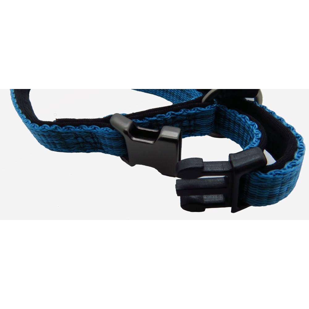Flamingo - Collier Jannu bleu réglable de 20 à 35 cm 10 mm taille S pour chien - Image 5