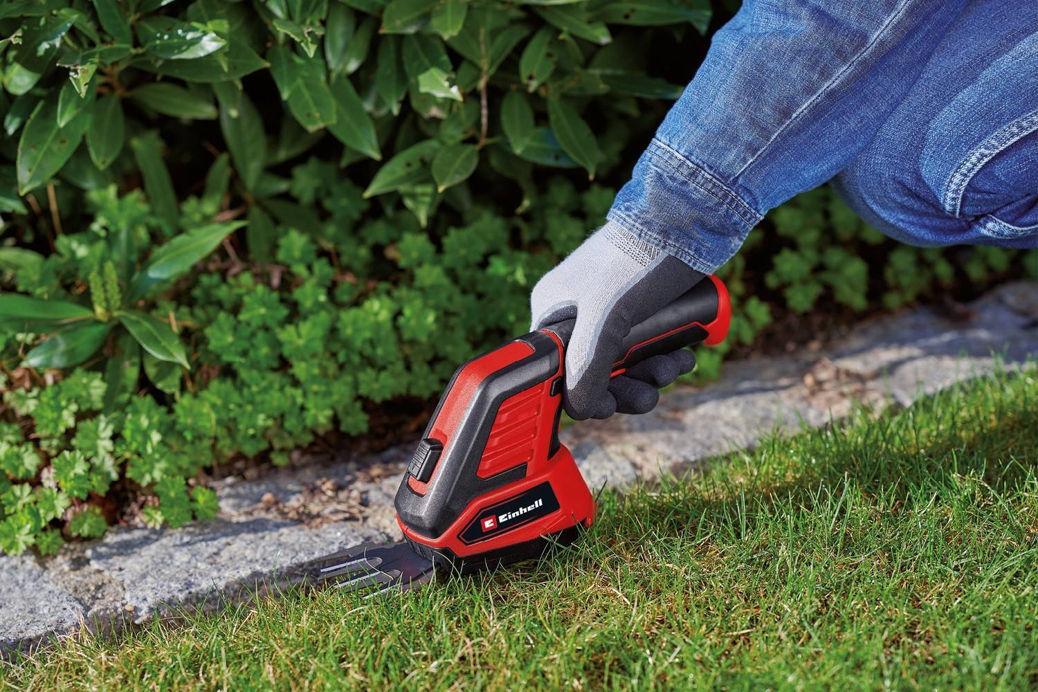 Einhell - Cisaille à gazon et taille-buissons sans fil GC-CG 3,6/70 Li WT Einhell - Image 5