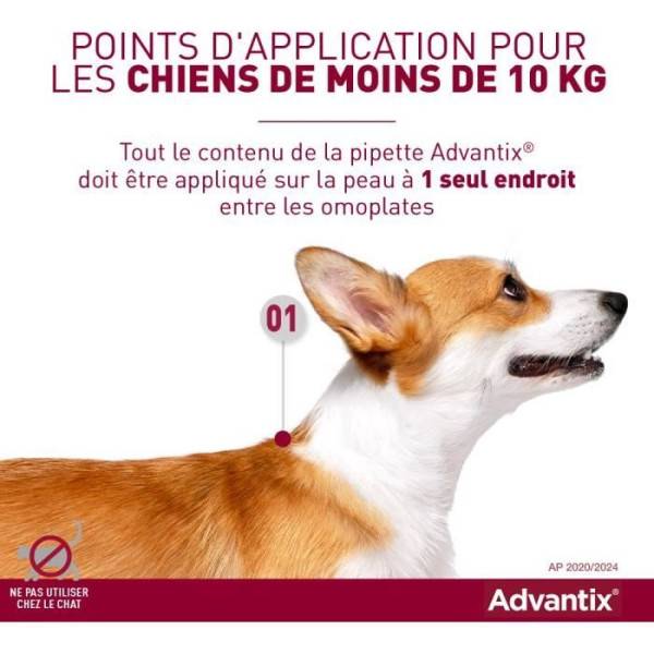 Advantix - ADVANTIX Chien Solution Antiparasitaire Petite Race 4 a 10kg 4 pipettes - Image 2