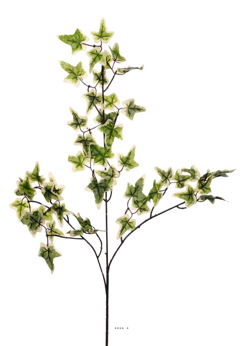 Lierre artificiel en branche H 70 cm 51 feuilles Panaches - couleur: Blanc-vert
