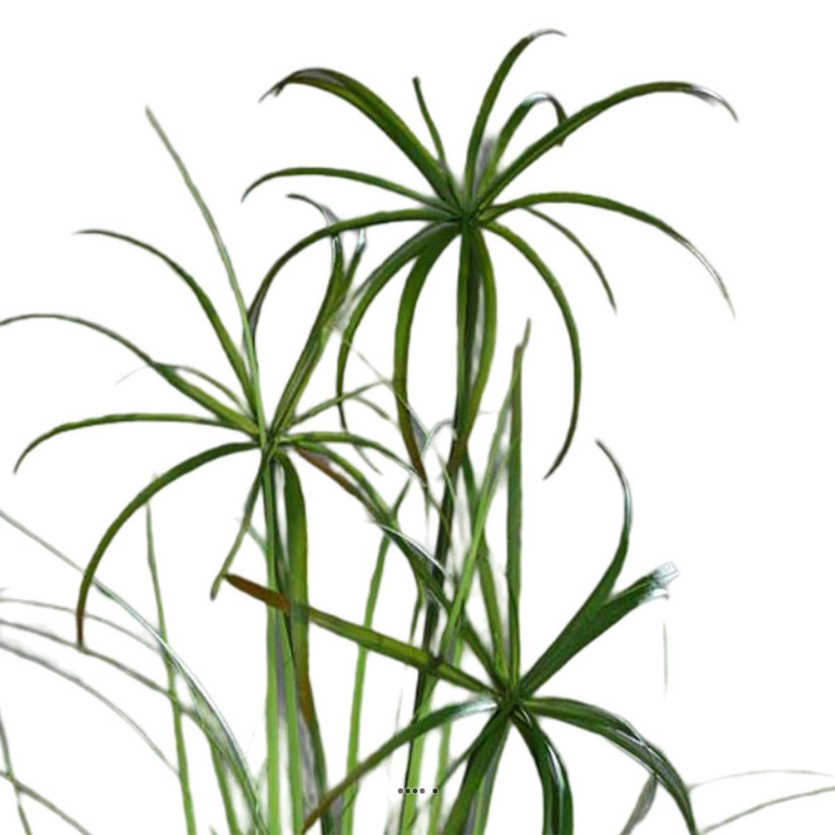 Artificielles - Branche de Papyrus artificiel H 117 cm 3 têtes - Image 2