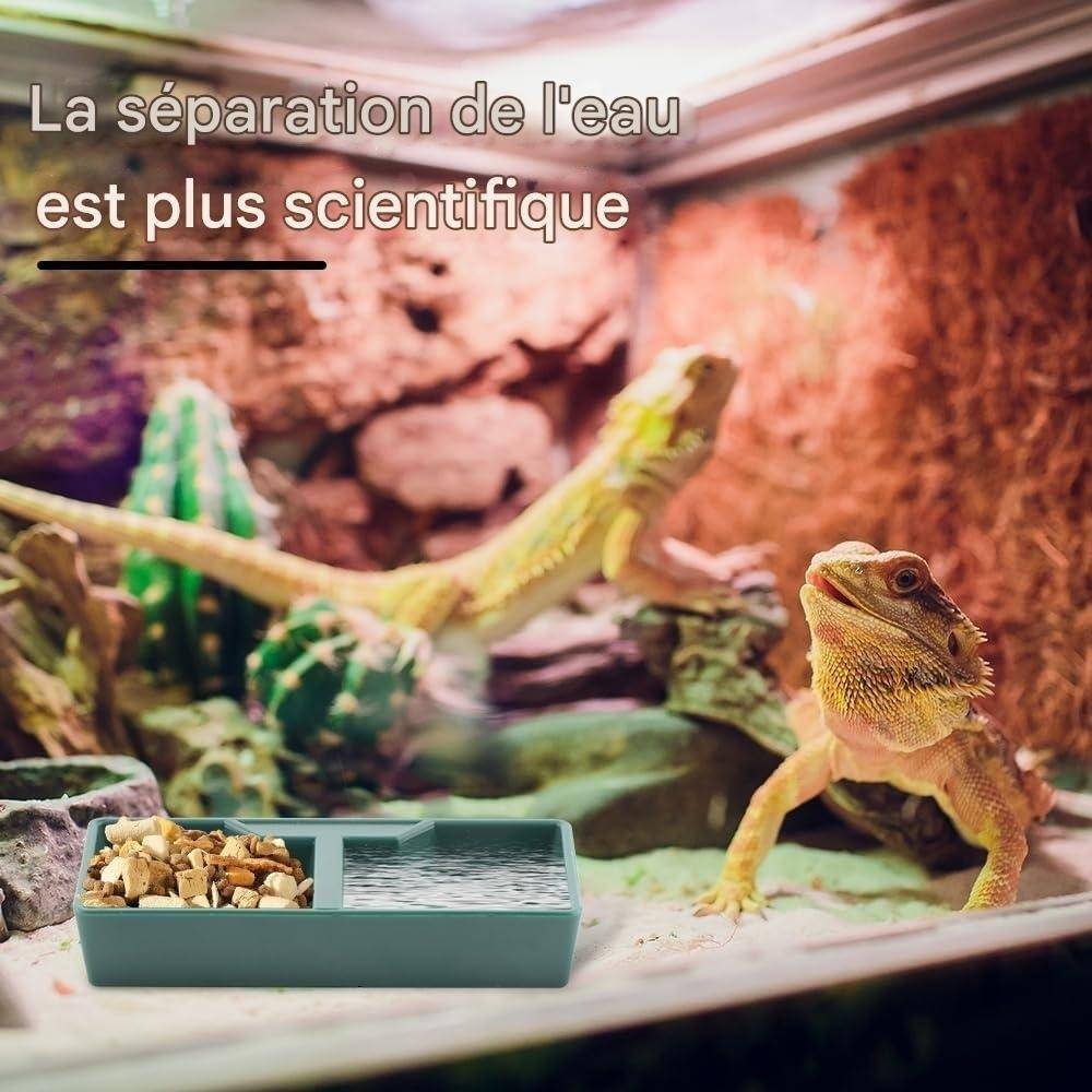 Gamelle 2 Compartiments Vert ABS Pour Reptiles - Lytech - Image 3