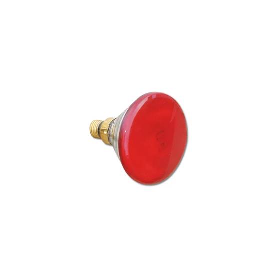 Autre - Ampoule chauffante infrarouge P.A.R 100 W - Image 1