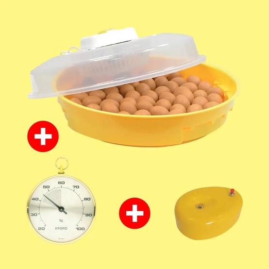 Kit de démarrage Start - Couveuse avec accessoires - Image 1