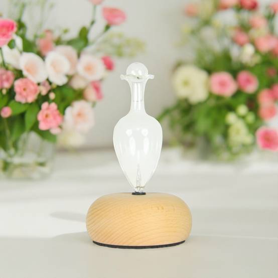 Zen'Arôme Diffuseur d'Huile Essentielle par Nébulisation Bao - Diffuse à Froid - Idéal pour l'Aromathérapie - Puissance Ajustable - Image 5