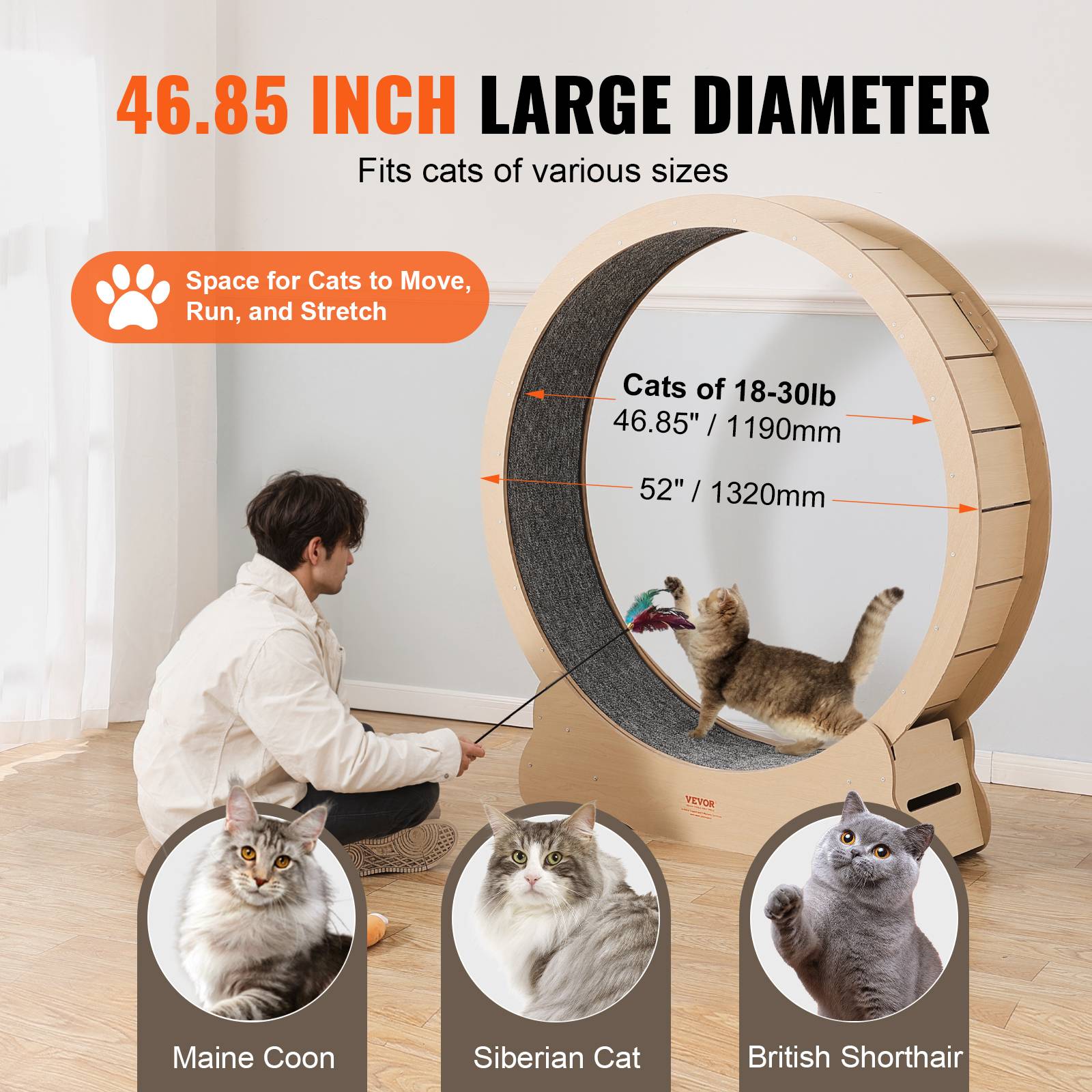 VEVOR Roue d'exercice pour chat 1320mm, tapis roulant amovible, pour course et entraînement en intérieur. - Image 4