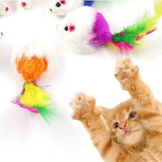 Lot de 10 peluches pour chat (couleurs aléatoires) - Image 4
