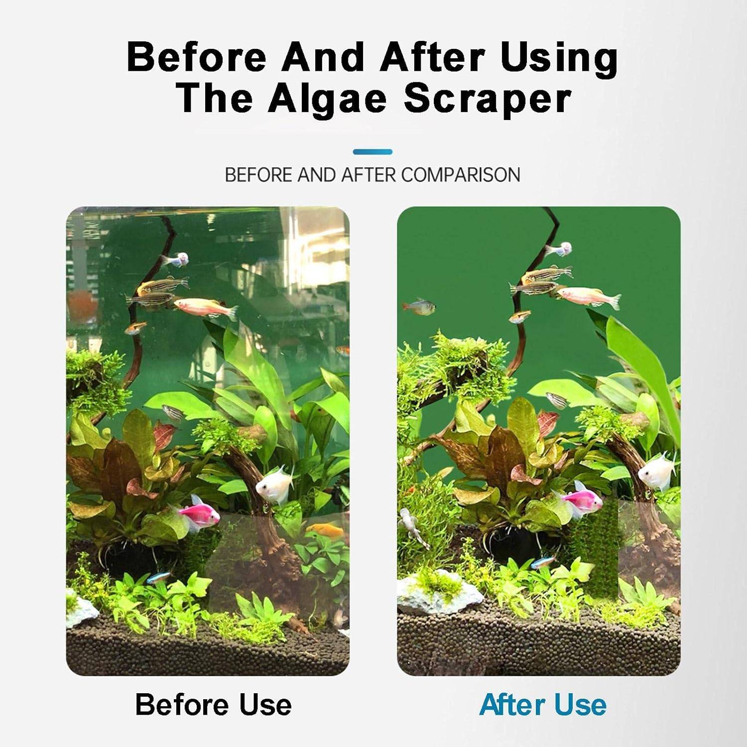 DtopbuyAge - Grattoir à Algues pour Aquarium en Verre DtopbuyAge - Image 5