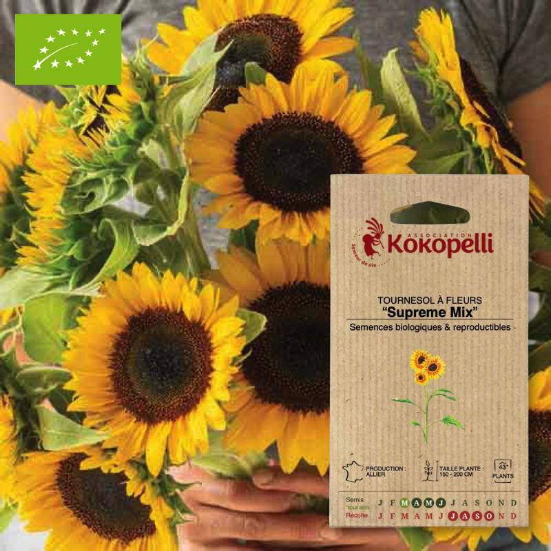 Graines bio à semer - Tournesol à Fleurs Supreme Mix- Association Kokopelli