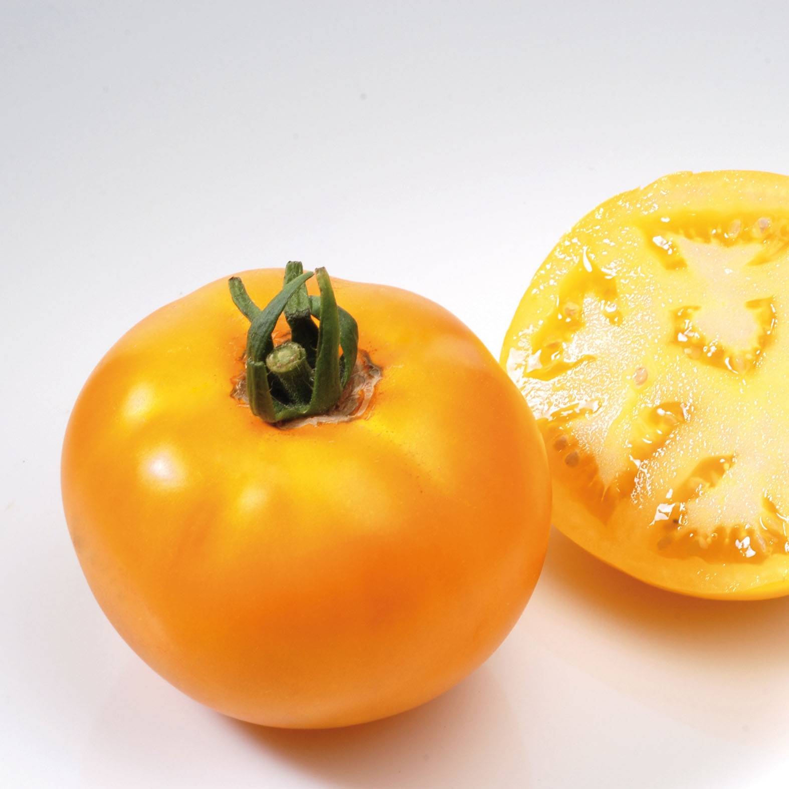 Tomate Lemon Boy F1 jaune en plants Pot de 10 cm/11cm - Image 2