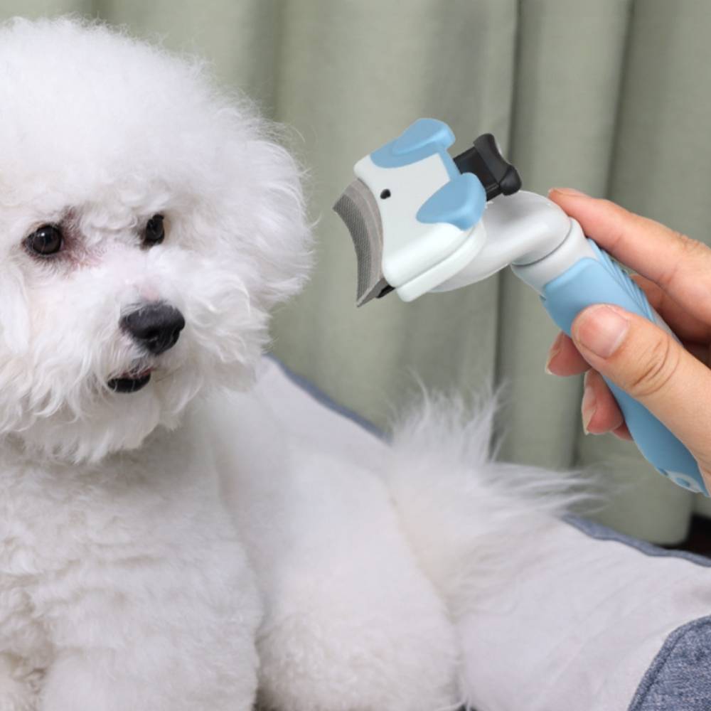 Pinceau de toilettage pour chien et chat - IntiMeg - Image 2